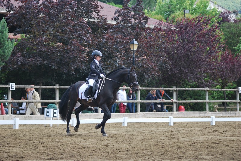 S&eacute;ptima Fase del Campeonato Navarro de Doma en Acedo
